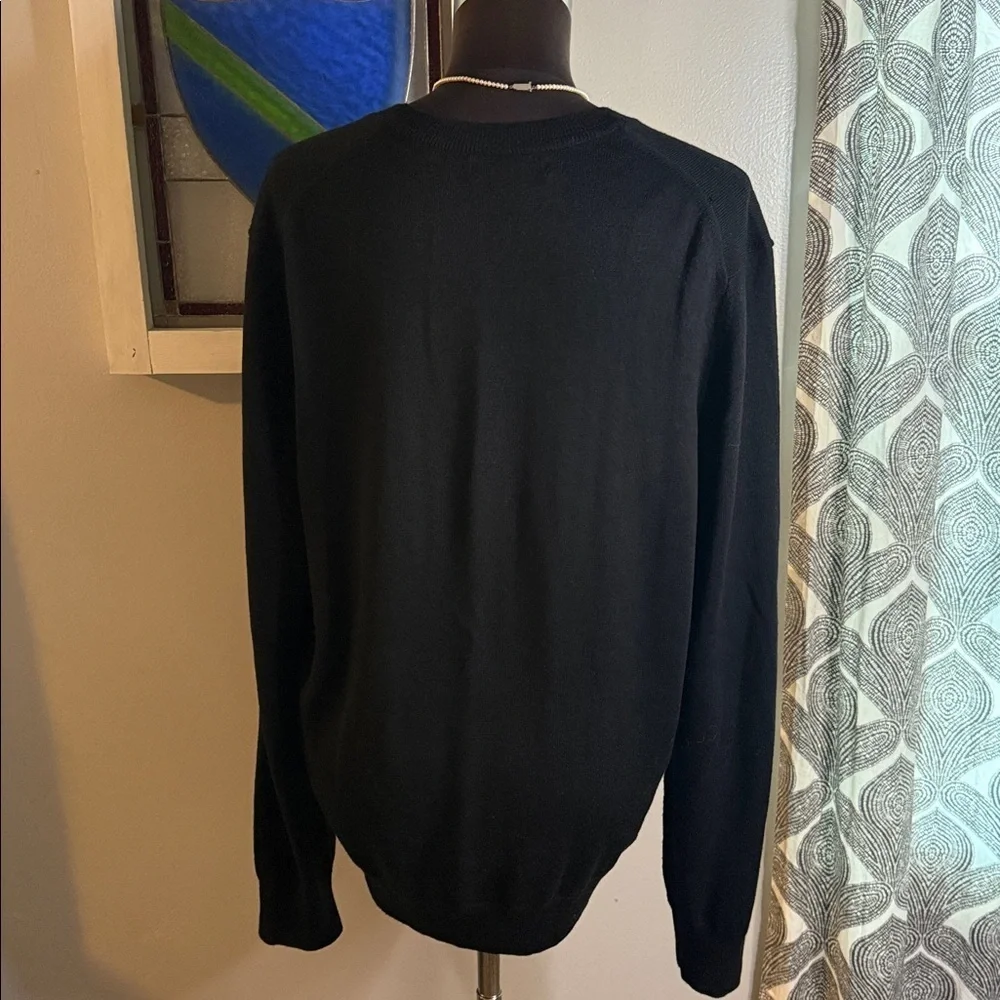 Banana Republic 100% Merino Wool Crew Neck Sweater SZ Large